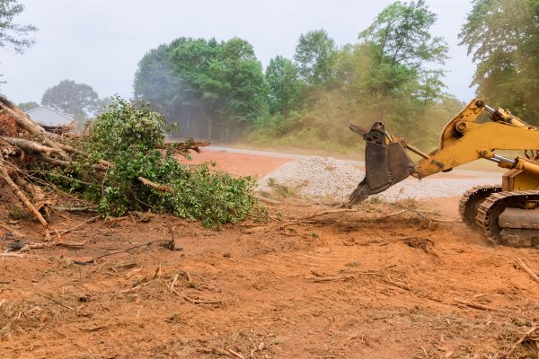 Ground Clearing in Crown Point