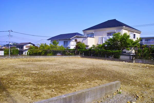 Cost of Lot Clearing Service in Crown Point