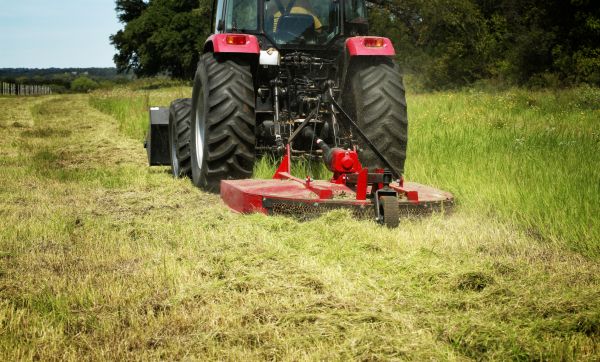 Brush Clearing Service in Crown Point
