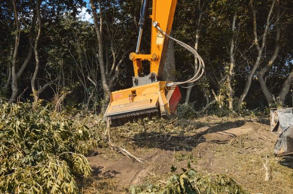 Brush Removal Service in Crown Point