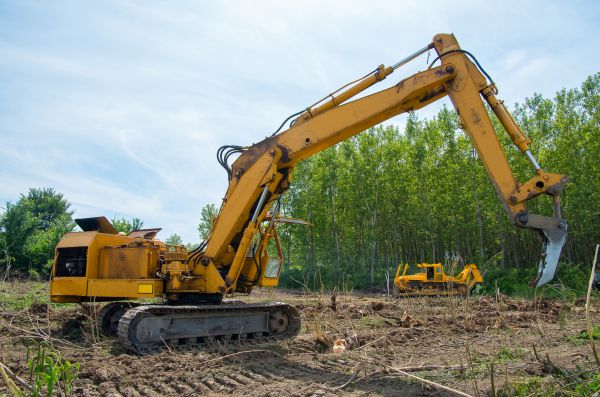 Farm Clearing in Crown Point