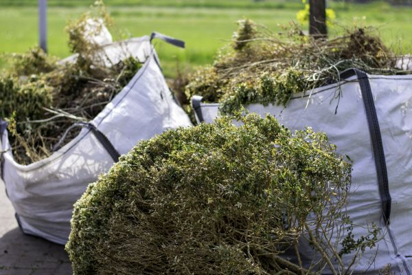 Cost of Bushes Clearing in Crown Point
