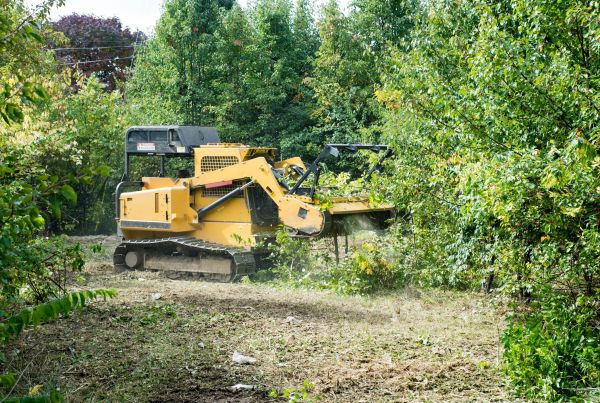 Pathway Clearing in Crown Point