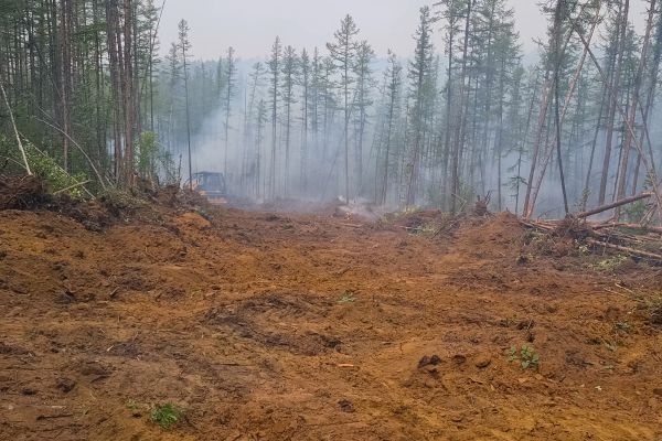 Hill Clearing in Crown Point