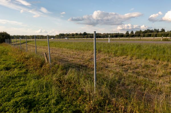 Property Line Clearing in Crown Point
