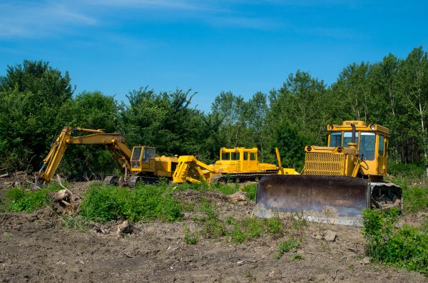 Bulldozer Clearing in Crown Point