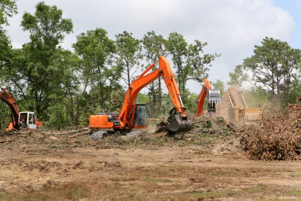 Commercial Lot Clearing in Crown Point
