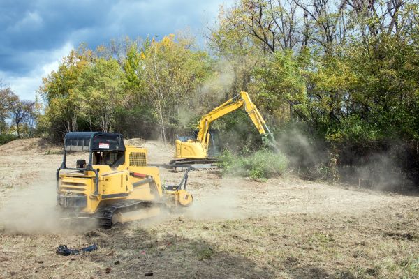 Terrain Clearing in Crown Point