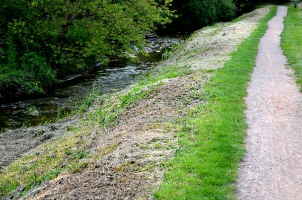 Trail Cutting in Crown Point